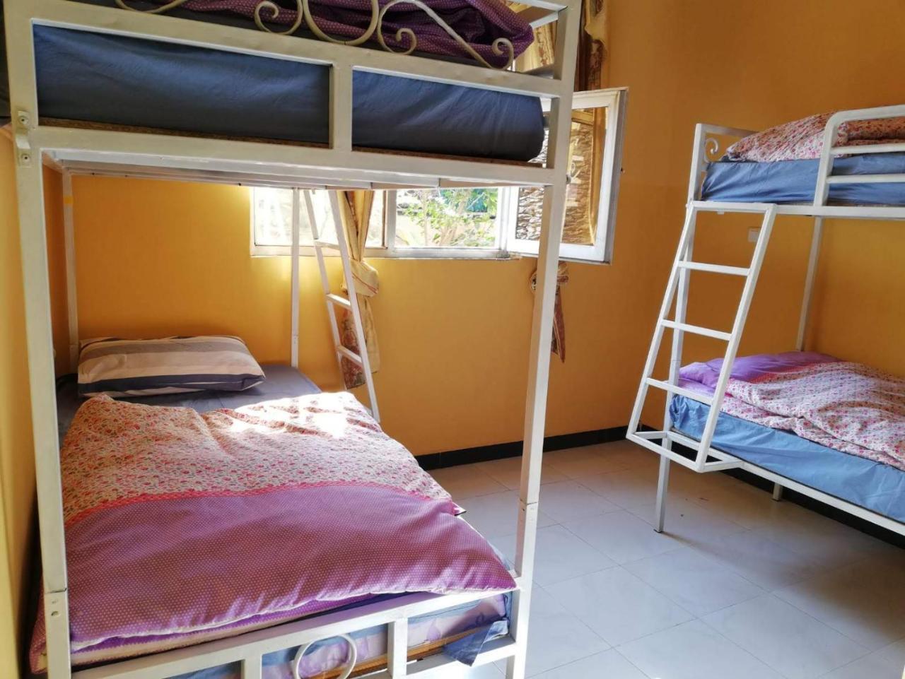 نزل Gondar Backpackers المظهر الخارجي الصورة