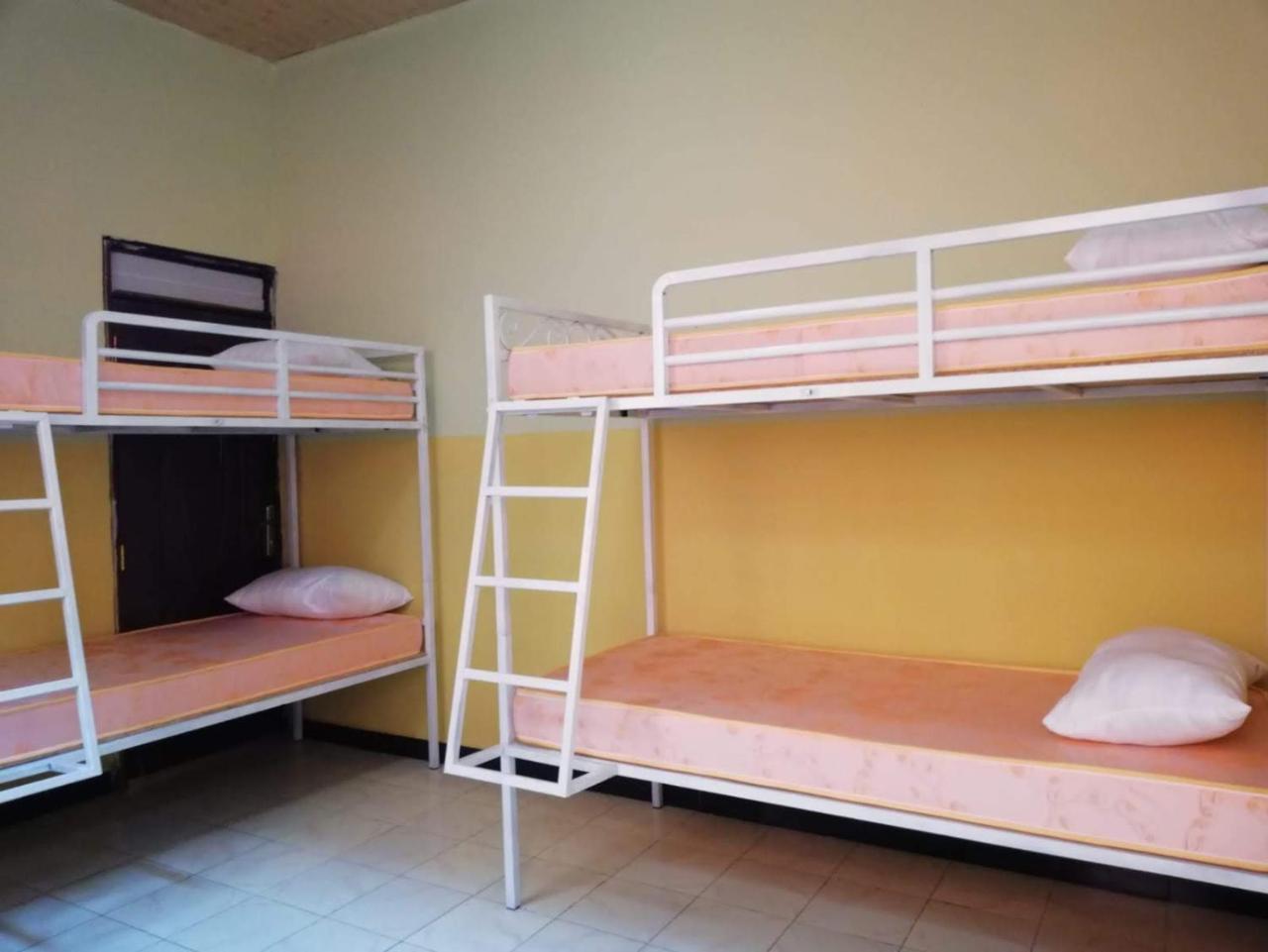 نزل Gondar Backpackers المظهر الخارجي الصورة