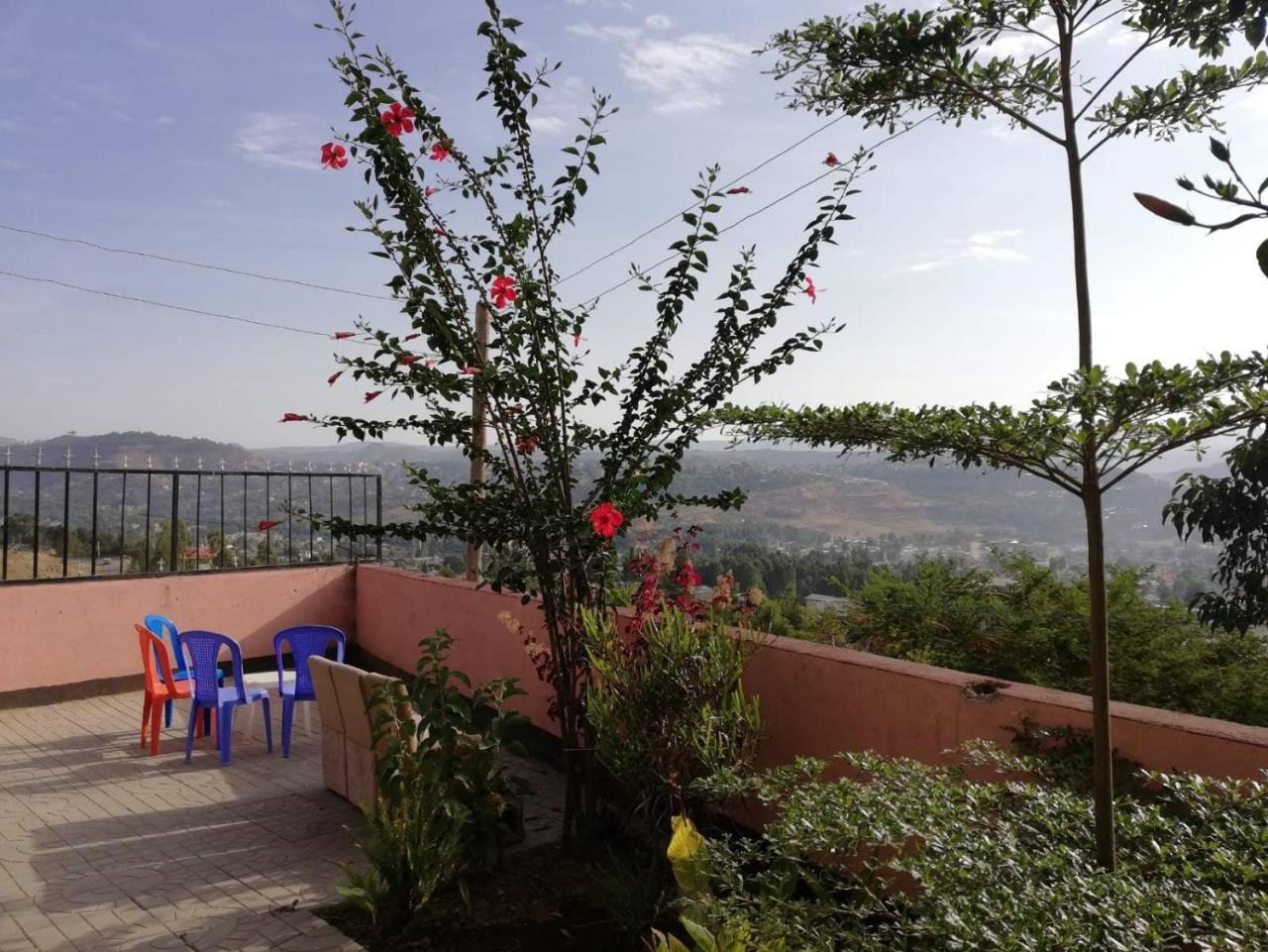 نزل Gondar Backpackers المظهر الخارجي الصورة