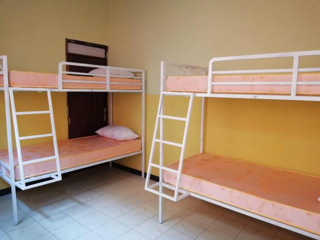 نزل Gondar Backpackers المظهر الخارجي الصورة